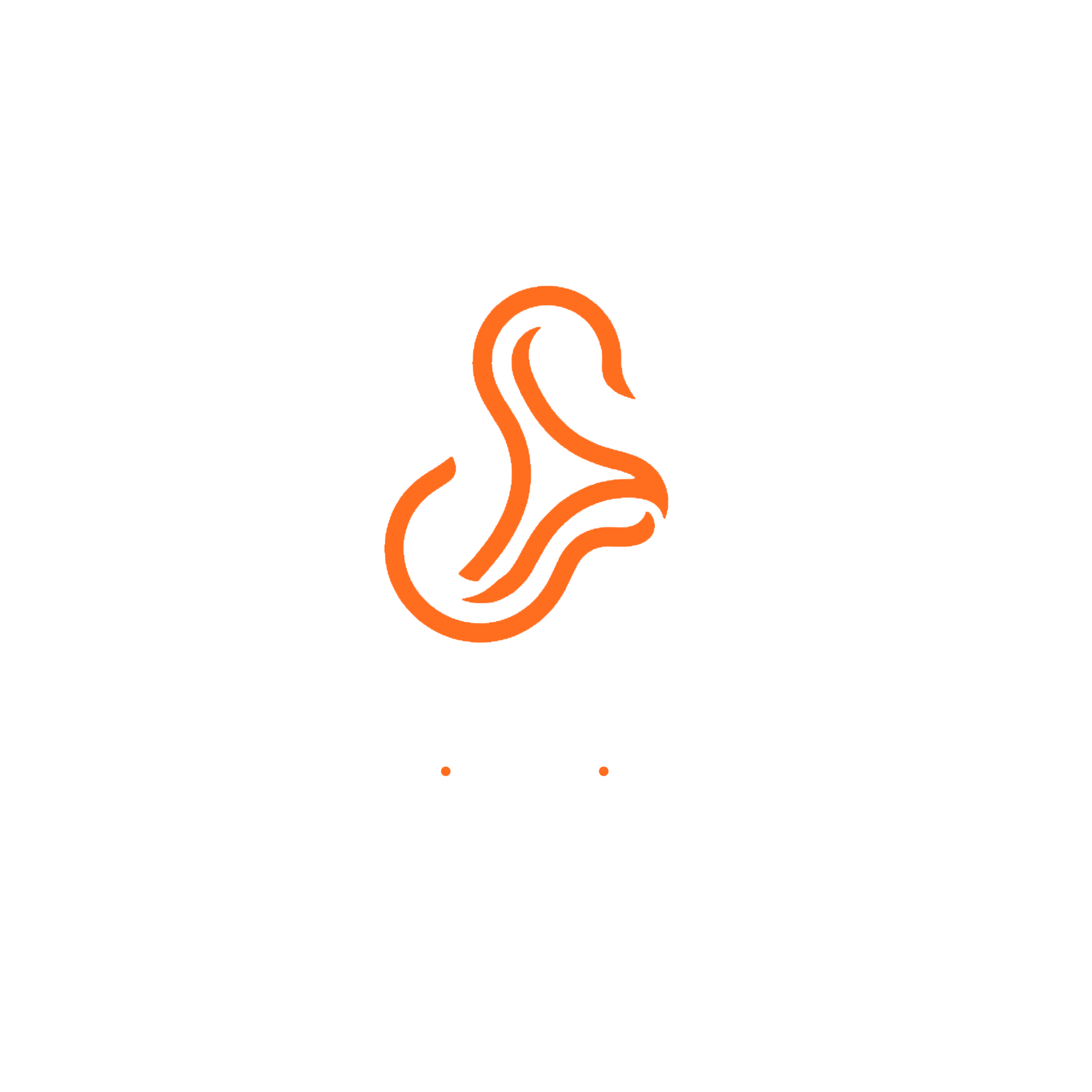 JSM Media Group